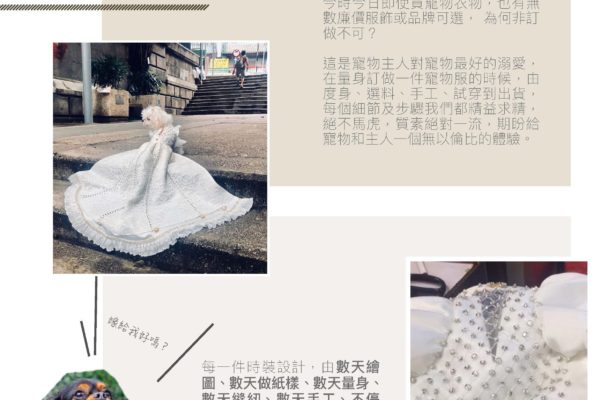 major leaflet_頁面_04